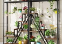 Plant Shelves wall art ideas