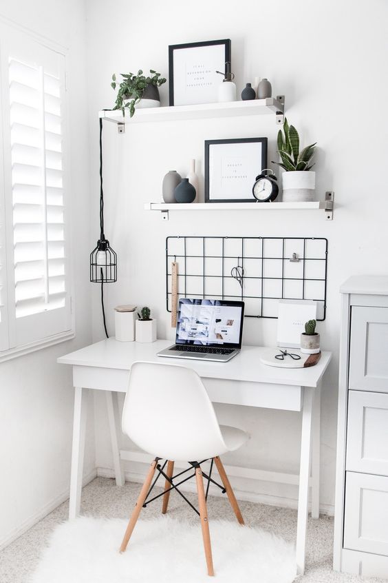 Cheese plant on Desk