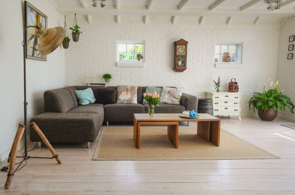 indoor flowering plants