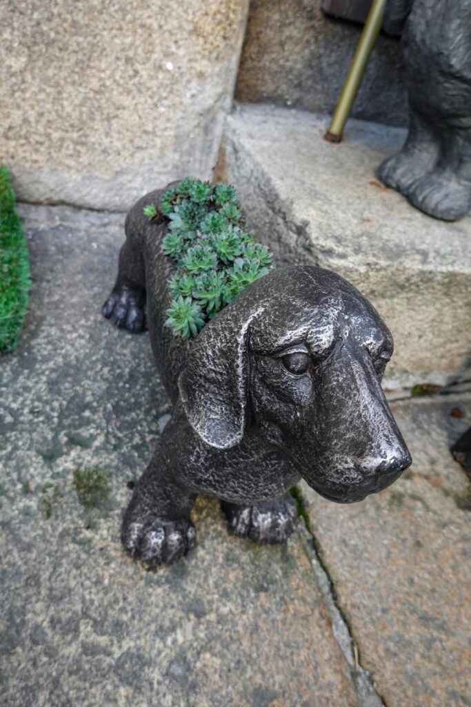 Animal Shaped Flower Pots 