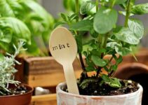 Stamp labeled kitchen herb pot