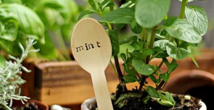 Stamp labeled kitchen herb pot