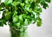 hanging herbs in kitchen