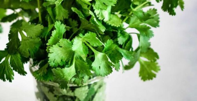 hanging herbs in kitchen