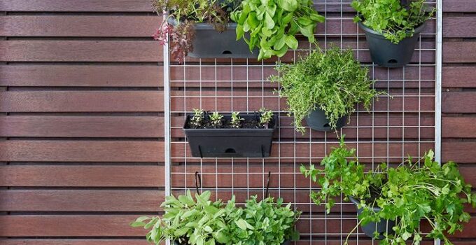 Install A Vertical Trellis cute indoor herb garden ideas