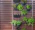 Install A Vertical Trellis cute indoor herb garden ideas