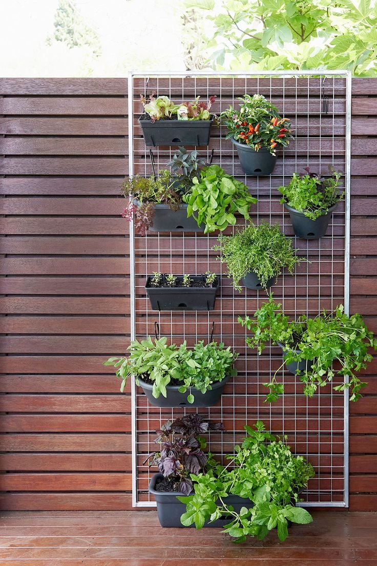 Cute Indoor Herb Garden Designs To Transform Your House