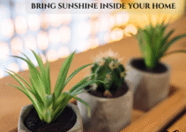 LED grow lights illuminating a variety of indoor plants, helping them grow healthy and vibrant inside a modern home setting.