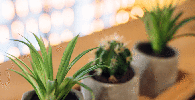 LED grow lights illuminating a variety of indoor plants, helping them grow healthy and vibrant inside a modern home setting.