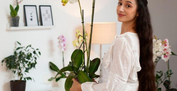 Budget-friendly ideas for affordable home upgrades